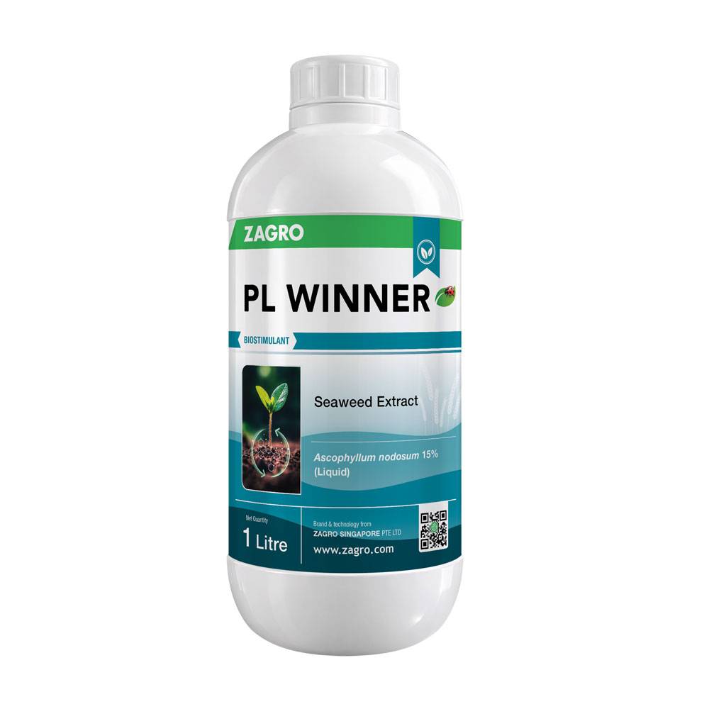 PL Winner